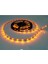 LED Dekoratif Şerit 2835 12V Beyaz / / Mavi / Kırmızı / Yeşil / Sıcak Beyaz Sarı (Yurt Dışından) 2