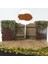 Model Demiryolu Bahçesi Bonsai Peri Bahçesi Için Simülasyon Minyatür Yaprak 33ML Turuncu Torbalı (Yurt Dışından) 3