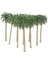 20X 1/150 Mini Street Park Bahçe Dekoru Için Sahte Model Hindistan Cevizi Ağaçları 7cm (Yurt Dışından) 4