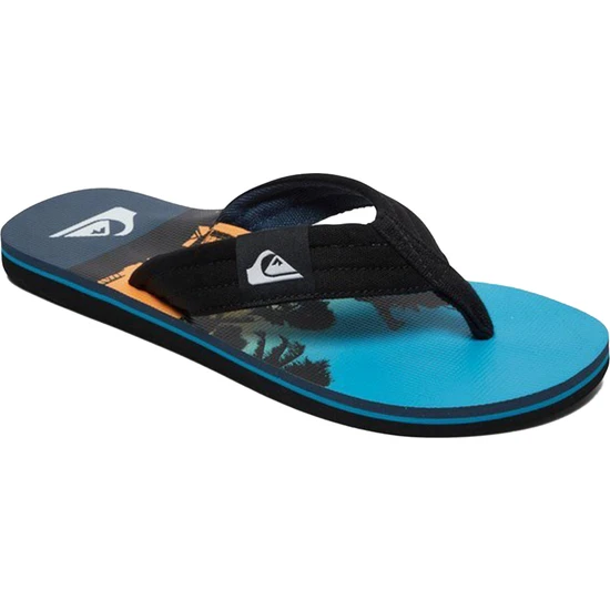 Quiksilver Molokai Layback Erkek Terlik