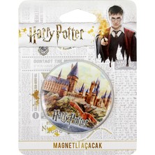 Filmaldım Harry Potter Şato Magnetli Metal Açacak