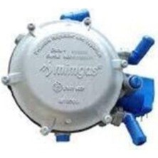 Mimgas Karbüratörlü Beyin