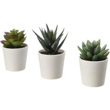 IKEA Fejka Kaktüs 3 Lü Set 6 cm Yapay Bitki Çiçek Saksılı Kaktüs