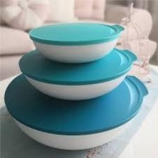 Tupperware Berrak Set