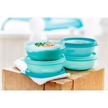 Tupperware F53 - Şeker Kaplar 4'lü Set