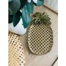 Renkli Fırça Hazeranlı Ananas Tabak