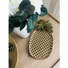 Renkli Fırça Hazeranlı Ananas Tabak