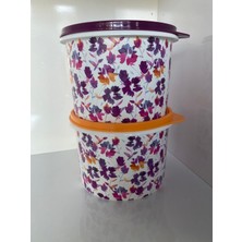 Tupperware Renkli Buzdolabı Saklama ve Taşıma Kapları 1.1 Lt 2’li