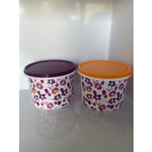 Tupperware Renkli Buzdolabı Saklama ve Taşıma Kapları 1.1 Lt 2’li