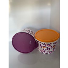 Tupperware Renkli Buzdolabı Saklama ve Taşıma Kapları 1.1 Lt 2’li