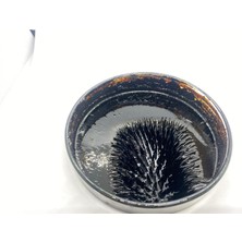 Manyetik Sıvı Ferrofluid, Bilim Projeleri Için Ideal, Oyuncak, Stres Giderici