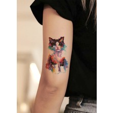 BP Tattoo Renkli Pisicik Geçici Kedi Dövmesi