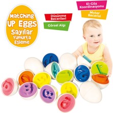 Circle Toys Yumurta Eşleştirme Sayılar 10'lu