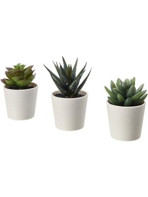 IKEA Fejka Kaktüs 3 Lü Set 6 cm Yapay Bitki Çiçek Saksılı Kaktüs