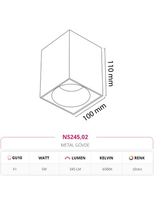 Nevo Sıva Üstü Tavan Armatürü Siyah 6500K Beyaz Işık NS245