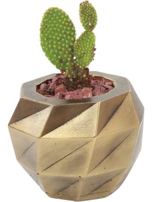 Evene Saksı Çiçek Kaktüs Saksısı Lüx 13 cm Burgu Desen Saksı Çiçeklik