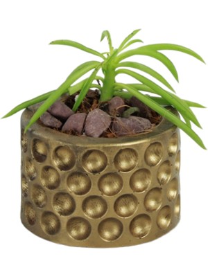 Stein Kohle Dekoratif Saksı Minik Kaktüs Saksısı Puantiye Model