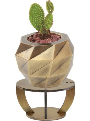 Evene Ahşap Ayaklı Beton Saksı Dekoratif 1 Adet Dönen Poly Model