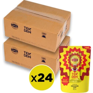 Anında Çay Tek Dem Klasik 10'lu Paket x 24