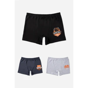 Erkek Çocuk Pamuklu Desenli Likralı Boxer 3'lü Paket 3954 Renkli