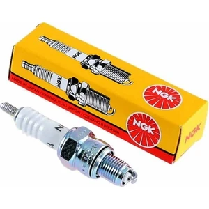 Arora Cappucıno 125 Ngk Buji