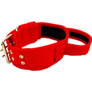 Tasma Market Kulplu Yumuşak Dokulu Kolon Köpek Tasması Köpek Taktik Boyun Tasması