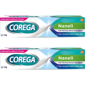 Naneli Diş Protezi Yapıştırıcı Krem 40 gr 2 Adet