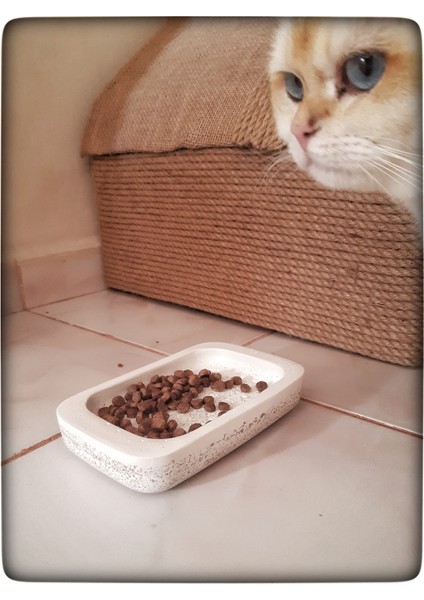 Beton Kedi Maması Kabı Beton Mama Tabağı fiyatları