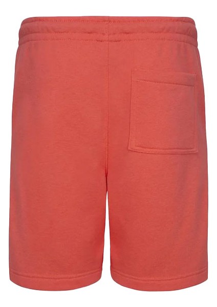 Jdb Mj Flight Mvp Short fiyatları