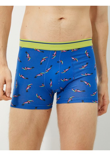 3'lü Boxer Seti Kuş Baskılı Beli Lastikli Pamuklu modelleri