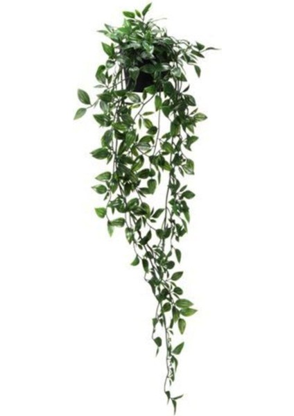 Fejka Yapay Bitki, Asılabilir Sarmaşık