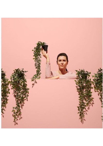 Fejka Yapay Bitki, Asılabilir Sarmaşık modelleri