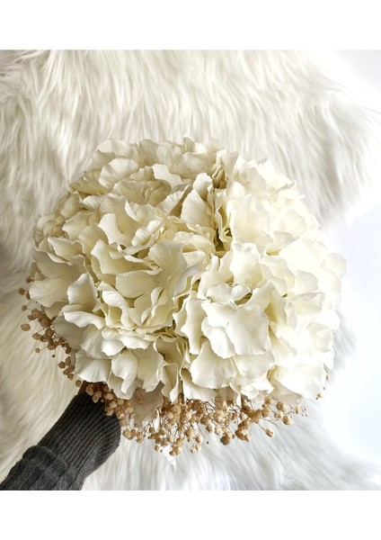 Zubida Cipsolu Ortanca Gelin Çiçeği fiyatları