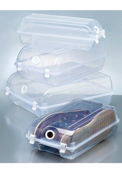 Gondol Erkek Ayakkabı Kutusu Lord 12 Adet Gondol