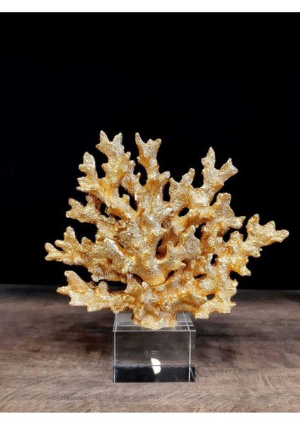 Sahinaksesuar Kristalli Mercan Gold