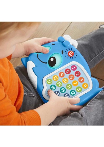 HJR72 Fisher Price Linkimals - Sayı Sayan Balina