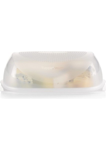 Büyük Peynir Dünyası Tupperware Büyük Peynir
