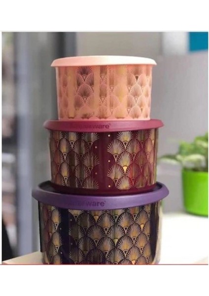 Parıltı 3'lü Set
