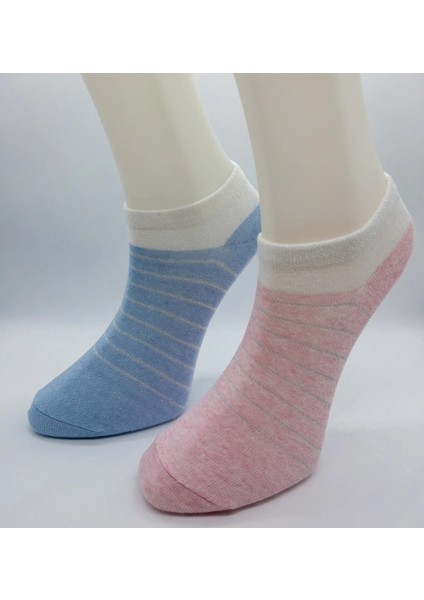 Ciho Socks 6 Çift Soft Renkler Sim Çember Detaylı Patik Çorap