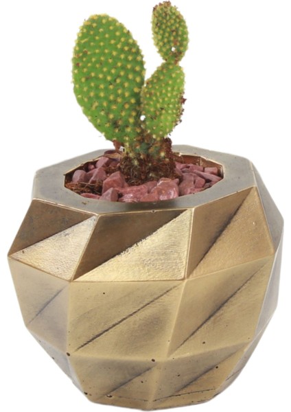 Saksı Çiçek Kaktüs Saksısı Lüx 13 cm Burgu Desen Saksı Çiçeklik