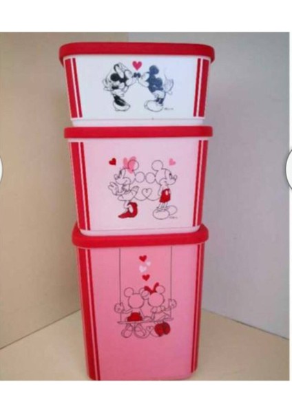 Minnie ve Mickey Kubik Seti 3 Lü