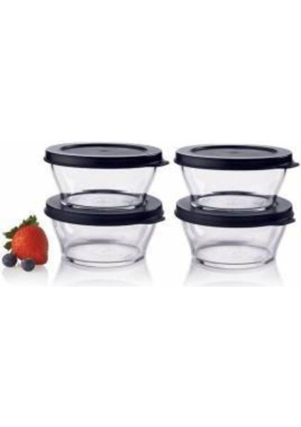 Mutfaktakimucizeler Tupperware Tupperware Royal Saklama Serisi 4 Lu 290ML