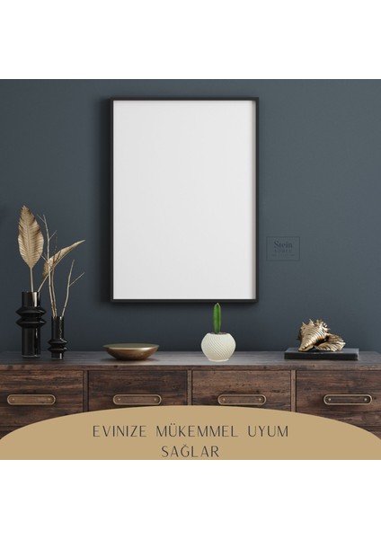Dekoratif Saksı Minik Kaktüs Saksısı İnce Çizgi Spiral