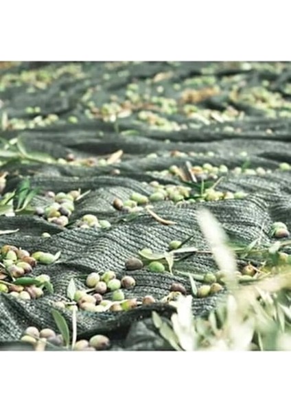 ÖzÇiğdem Zeytin Toplama Filesi Zeytin Sergisi 6X10 fiyatları
