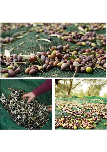 ÖzÇiğdem Zeytin Toplama Filesi Zeytin Sergisi 6X10 modelleri