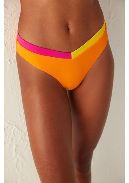 Çok Renkli Santos V Kesim Bikini Altı fiyatları