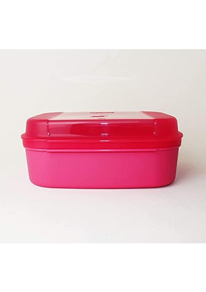 Tupperware F20 Pembe 1,3