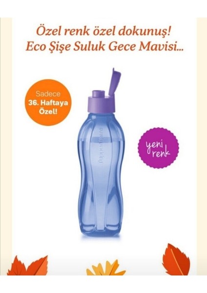 750 ml Şişe.