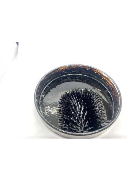 Manyetik Sıvı Ferrofluid, Bilim Projeleri Için Ideal, Oyuncak, Stres Giderici