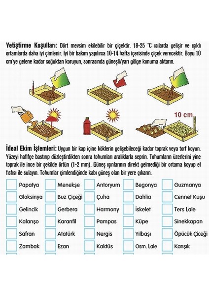 25 Adet Karışık Renk Cennet Kuşu Çiçeği Tohumu + 10 Adet K.renk H.gül Çiçek Tohumu